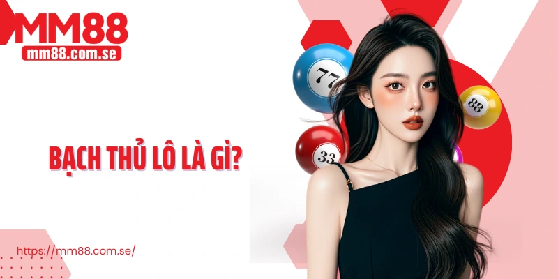 Bạch thủ lô là gì