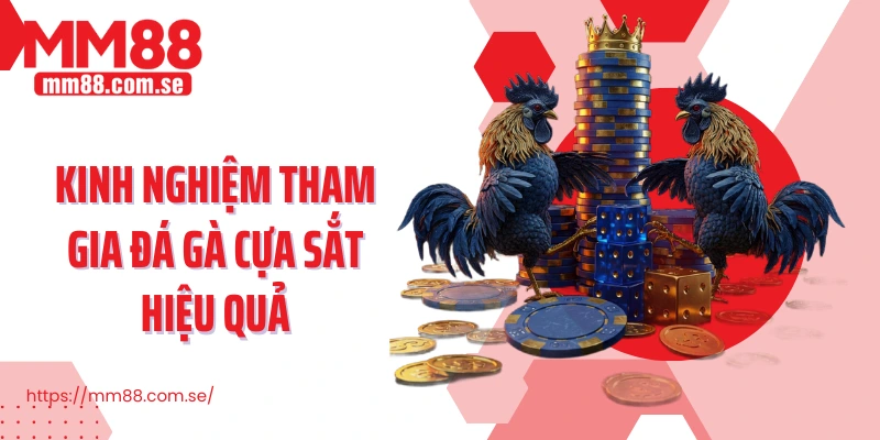 Kinh nghiệm tham gia đá gà cựa sắt hiệu quả